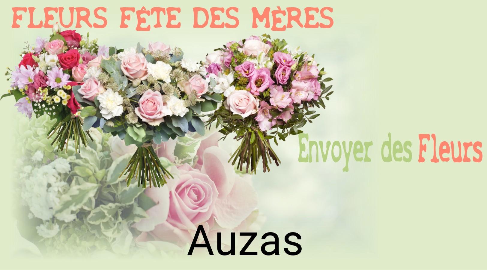 Bouquet de Fête des Mères livré à Auzas